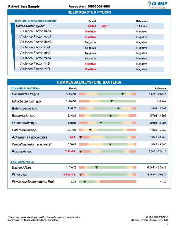 GI Map Microbiome Stool Test Sample Report Interpretation Page 2